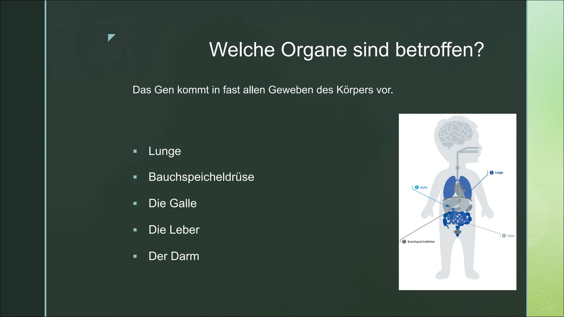 Von Fabienne Frentzen

Mukoviszidose Π

Π Was ist Mukoviszidose?

Π Wie wird Mukoviszidose vererbt?

Π Allgemeines Krankheitsbild

Π Welche 
