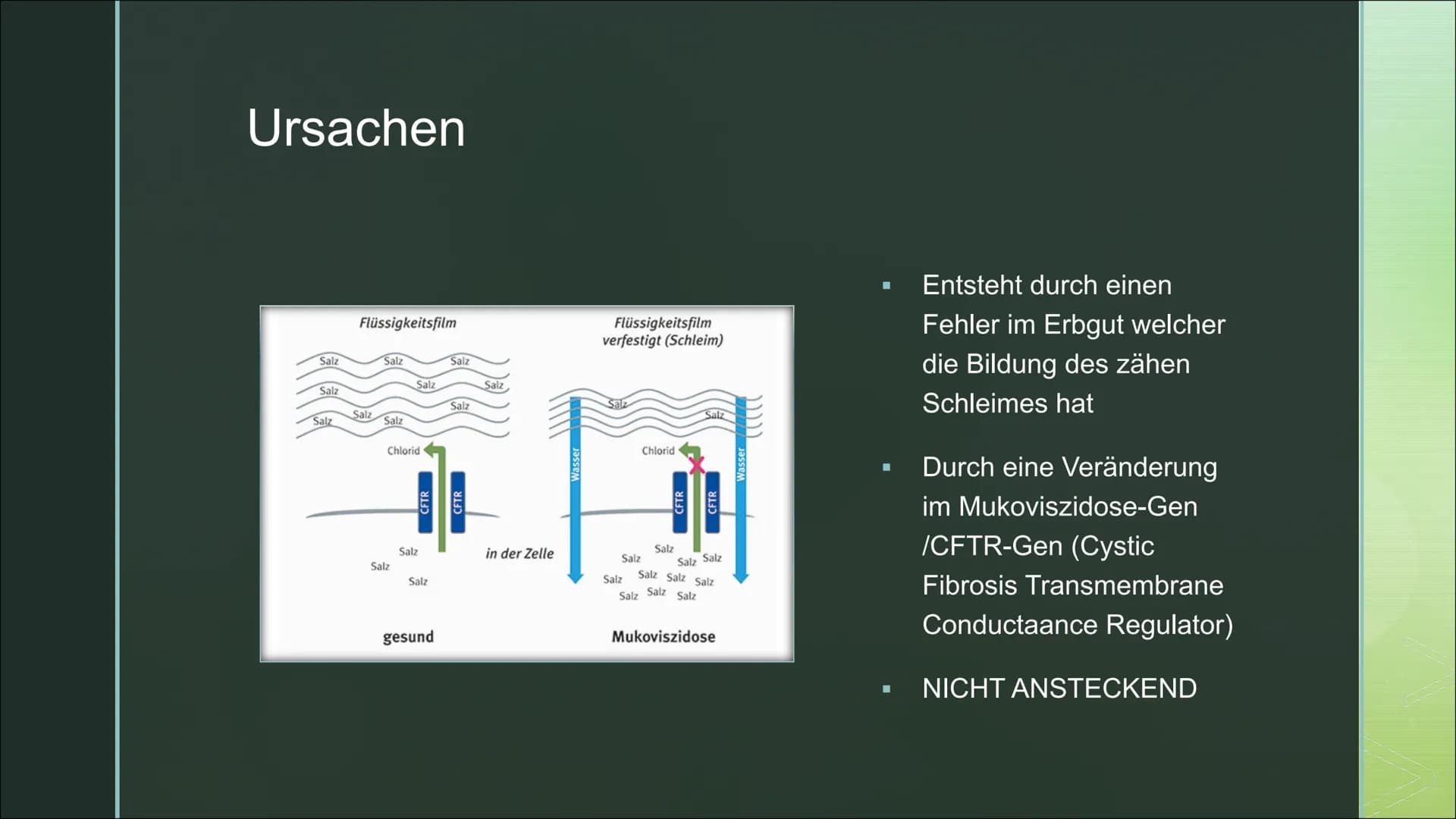 Von Fabienne Frentzen

Mukoviszidose Π

Π Was ist Mukoviszidose?

Π Wie wird Mukoviszidose vererbt?

Π Allgemeines Krankheitsbild

Π Welche 