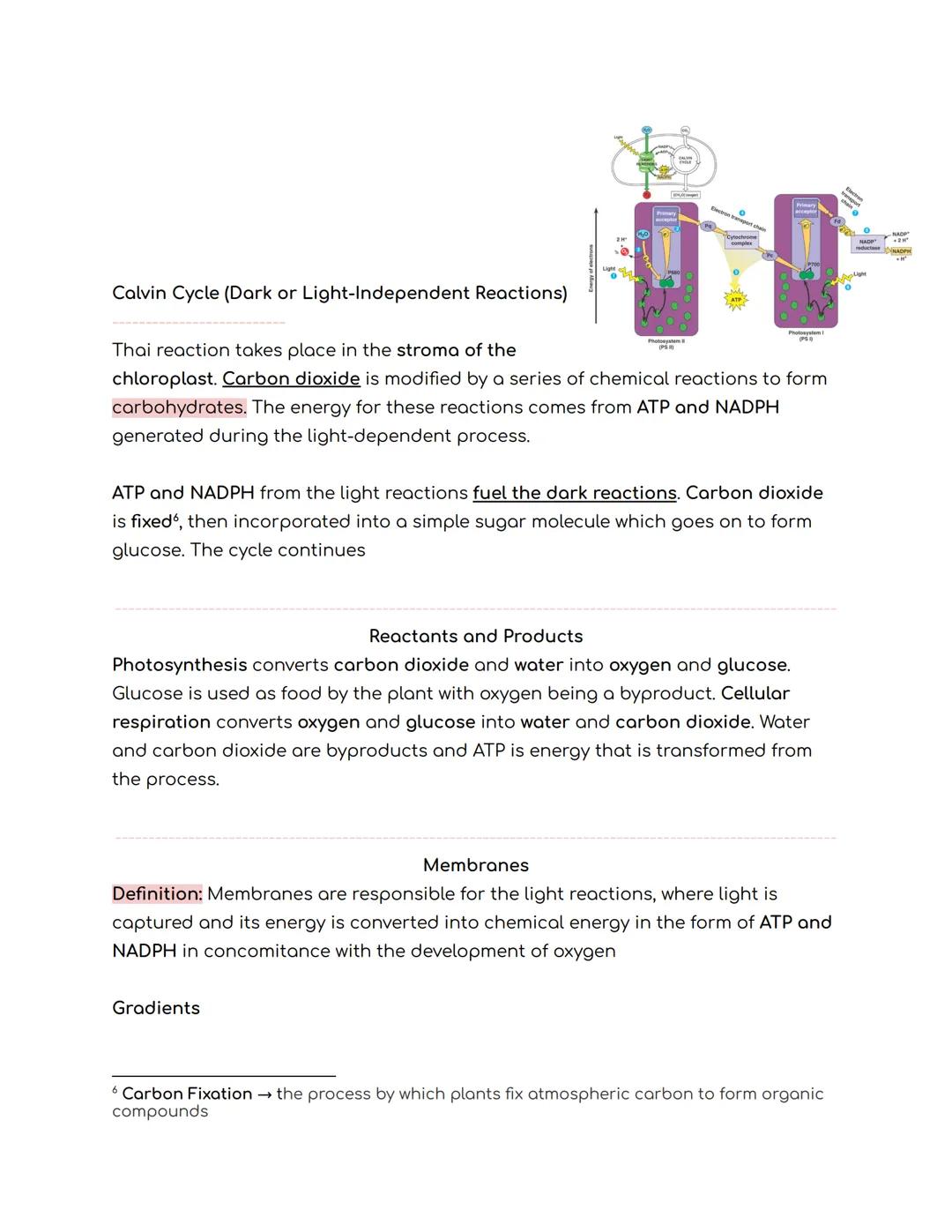 # Metabolism

Overview

Definition: The chemical process that occurs within a living organism in order to
maintain life

Metabolic Pathways
