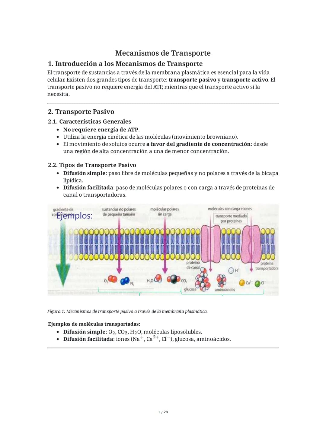 --- OCR Start ---
Mecanismos de Transporte
1. Introducción a los Mecanismos de Transporte
El transporte de sustancias a través de la membran