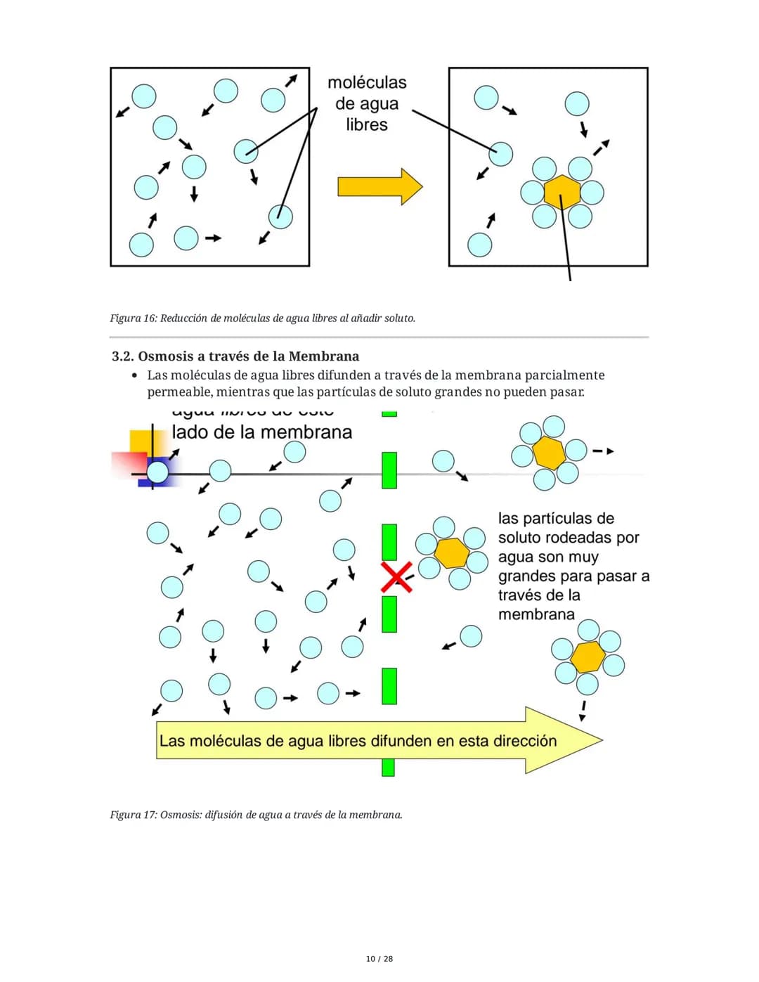 --- OCR Start ---
Mecanismos de Transporte
1. Introducción a los Mecanismos de Transporte
El transporte de sustancias a través de la membran