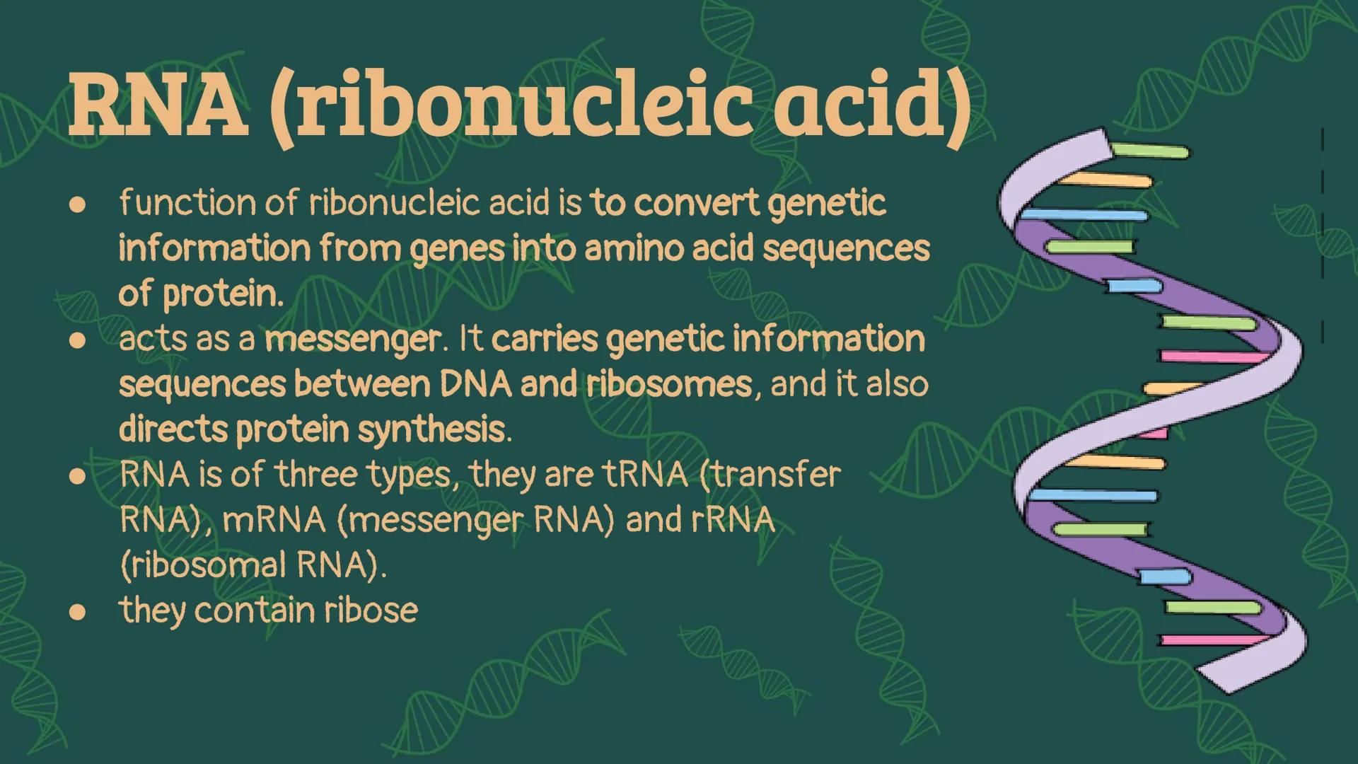 # NUCLEIC
# ACID When you hear the word
"nucleic acid", what
comes to your mind? # History on
Background # Friedrich Miescher
• was a Swiss 