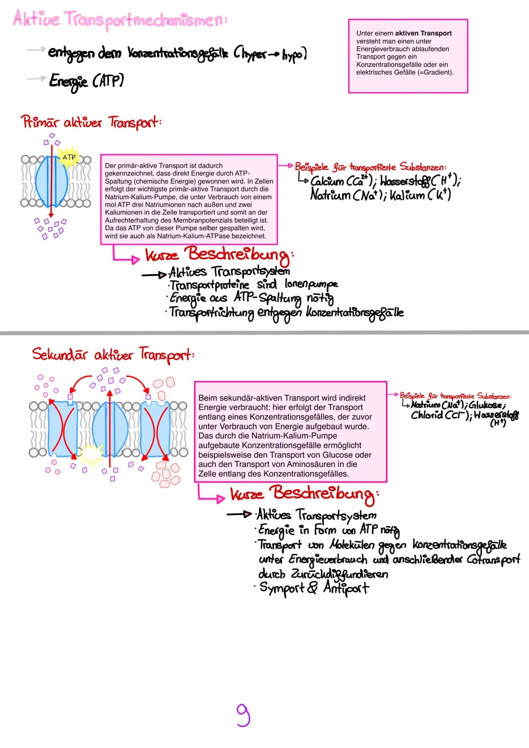 # Passive Transportmechanismen:
entlang des Konzentrationsgefälle (hypo-hyper)
ohne Energie

Der passive Transport ist eine Form der Bewegun