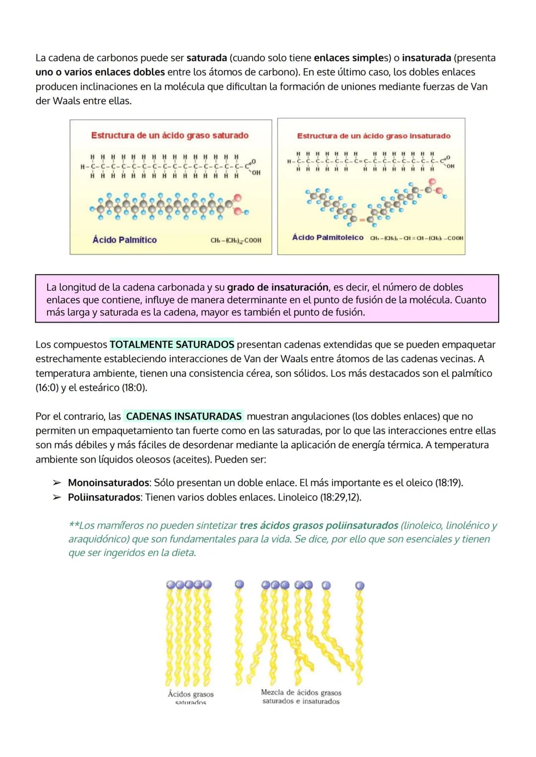 # TEMA 3
LOS LÍPIDOS

1. Características generales y clasificación de los lípidos
2. Lípidos saponificables, clasificación:
 a. Grasas (acil