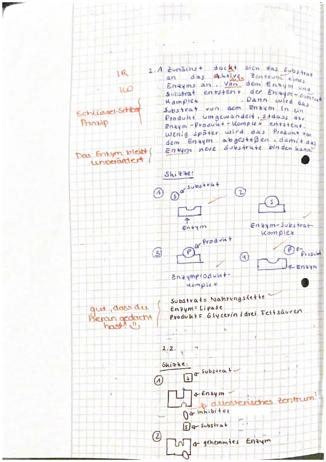 EF Biologie
Klausur Nr. 2-Enzymatik
04.03.2022
Name:

Aufgabe 1: Lactase

1.1 Beschreiben Sie den Aufbau sowie die allgemeinen Funktionen va