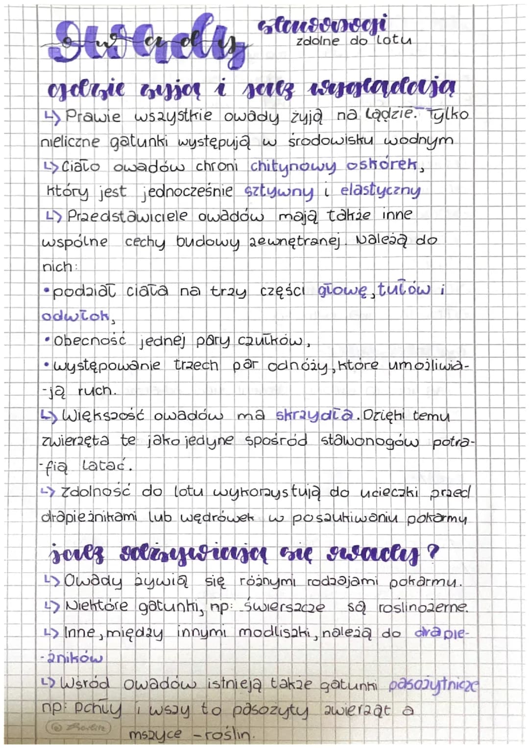 # Owady

staudorsagi
zdolne do Lotu

jdzie zyjor i salz iryglądają

4) Prawie wszystkie owady żyją na lądzie. Tylko
nieliczne gatunki występ