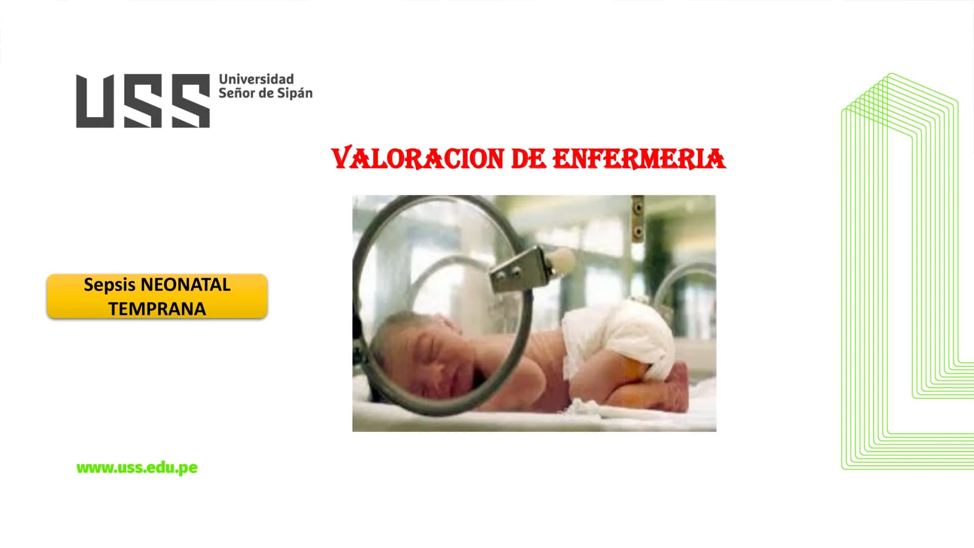 # USS

Universidad
Señor de Sipán

CURSO: CUIDADO HUMANIZADO AL NIÑO Y ADOLESCENTE II

# TEMA 06: CUIDADOS DE ENFERMERIA AL
# NEONATO CON SE