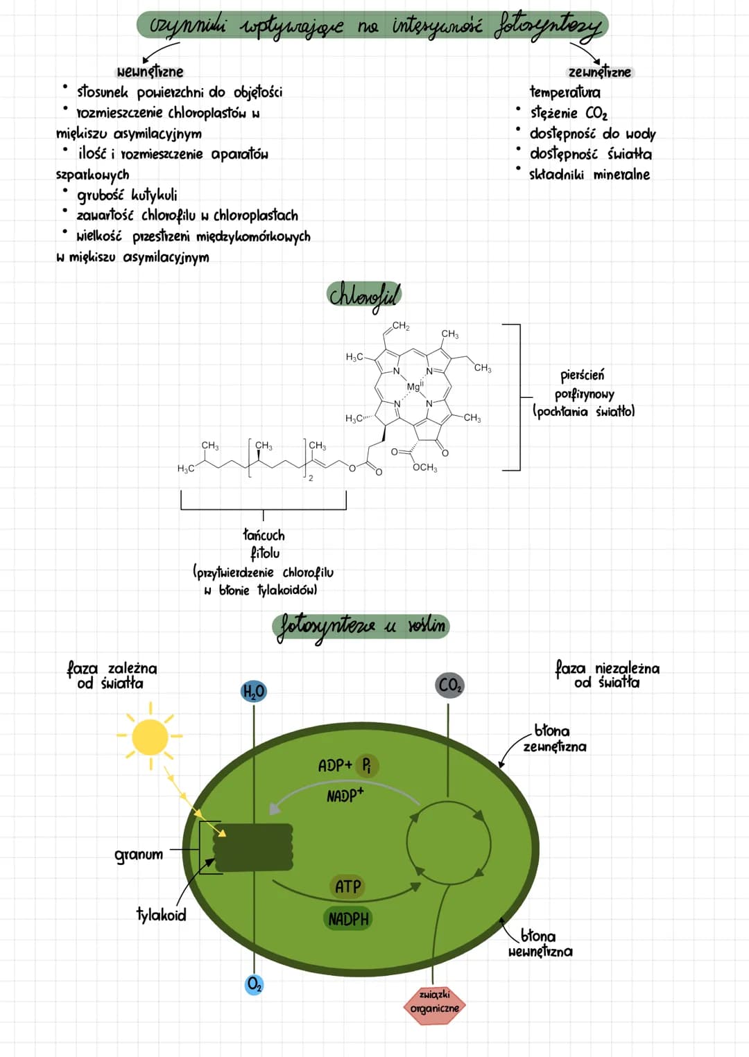 # fotosynteza

sposoby odżywiania się organizmów

autotrofizm
heterotrofizm

fotosynteza
chemosynteza
- Tośliny
- niektóre bakterie
- protis