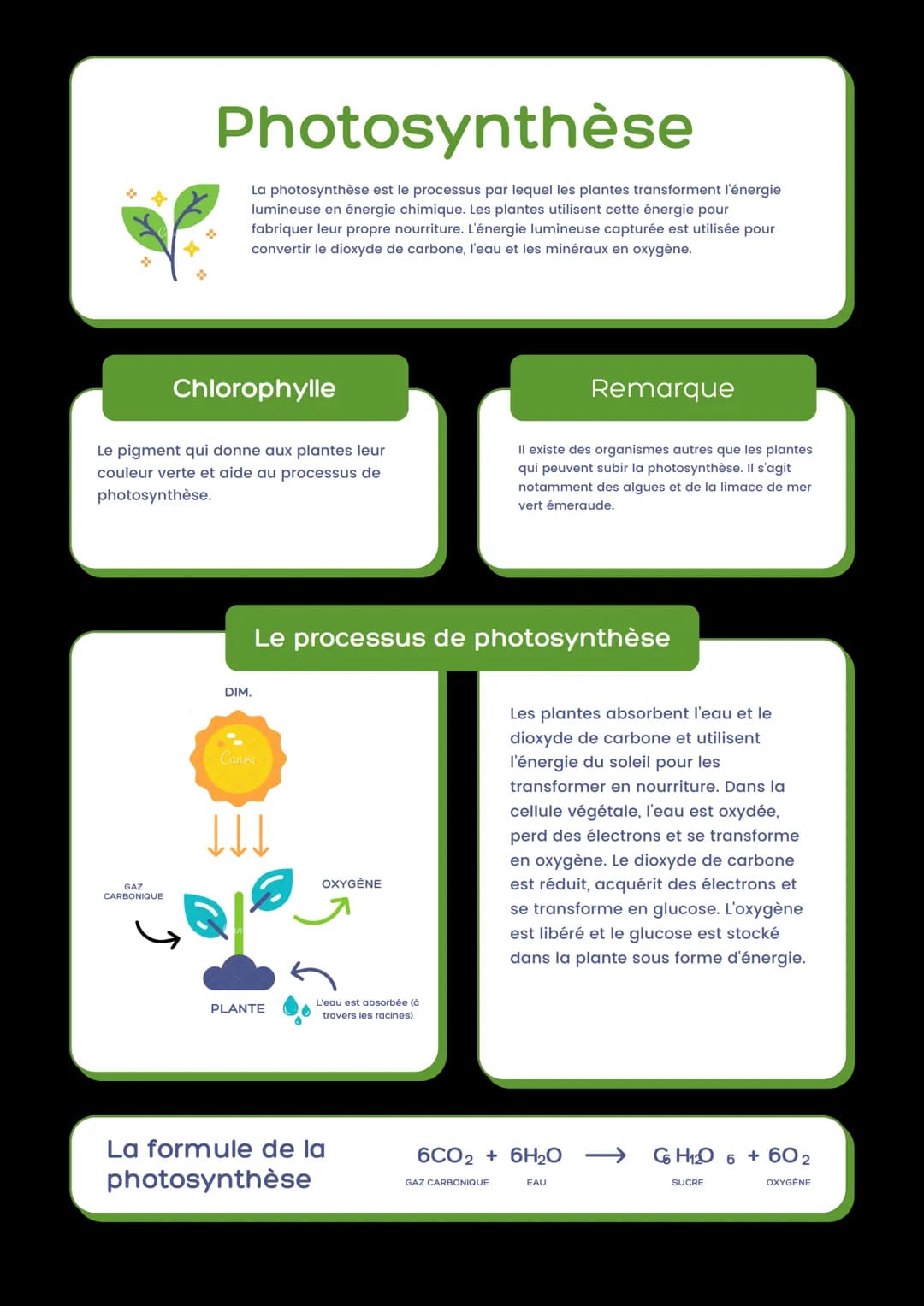 # Photosynthèse

La photosynthèse est le processus par lequel les plantes transforment l'énergie
lumineuse en énergie chimique. Les plantes 