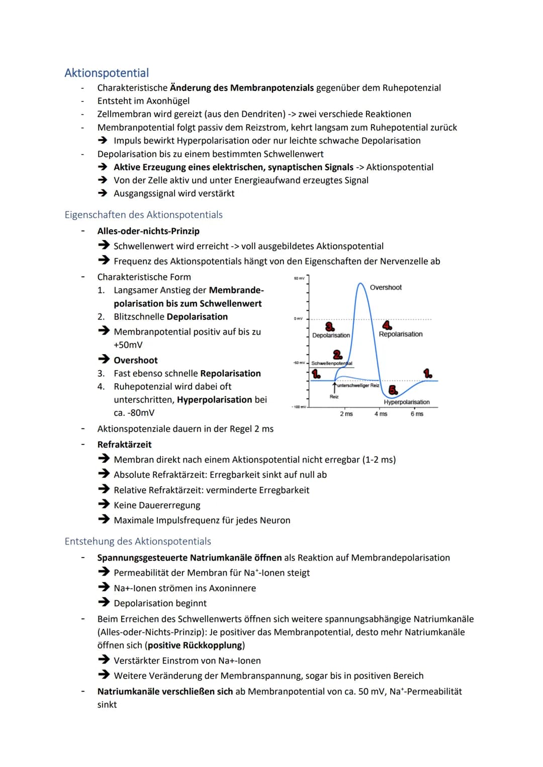 # Neuronale Informationsverarbeitung

Neuron als Grundelement der Nervenzellen

- Kleinster & wichtigster Baustein des Nervensystems
- Diene