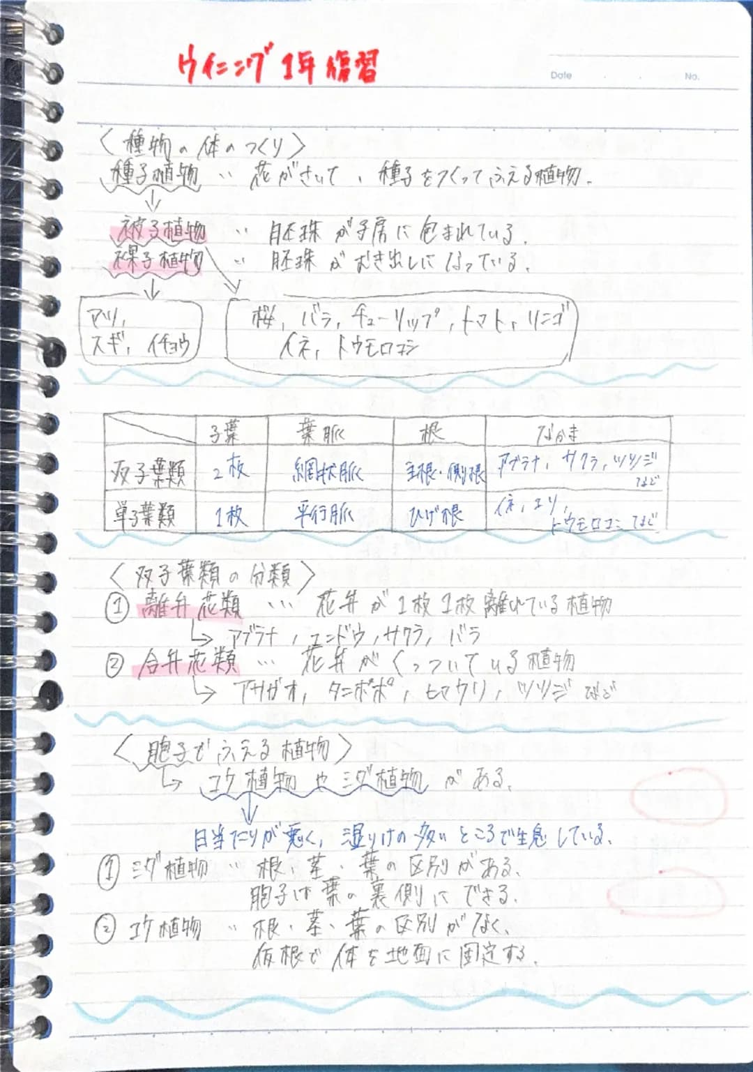 ウイニング1年復習

Date
No

<種物の体のつくり>
種子植物・花がさいて、種子をつくってふえる植物。
被子植物・・胚珠が子房に包まれている。
裸子植物胚珠がむき出しになっている。

アリ
桜、バラ、チューリップ、トマト・リンゴ)
スギ、イチョウ
人床、トウモロコシ

|