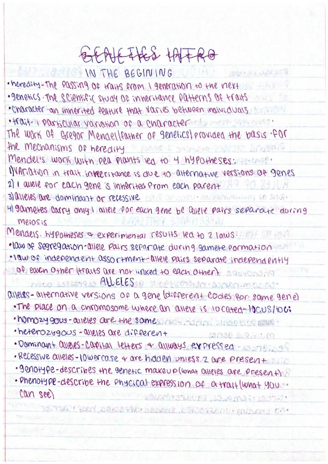 # GEAVE FIES HAVERO

IN THE BEGINING

•heredity-the passing of traits from I generation to the next

•genetics The Scientific study of inher