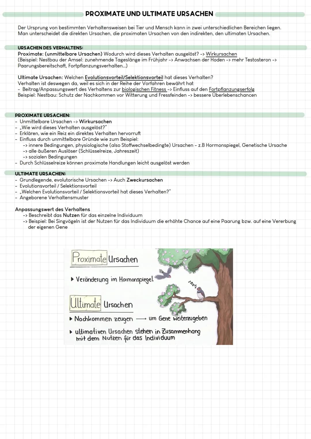 PROXIMATE UND ULTIMATE URSACHEN

Der Ursprung von bestimmten Verhaltensweisen bei Tier und Mensch kann in zwei unterschiedlichen Bereichen l