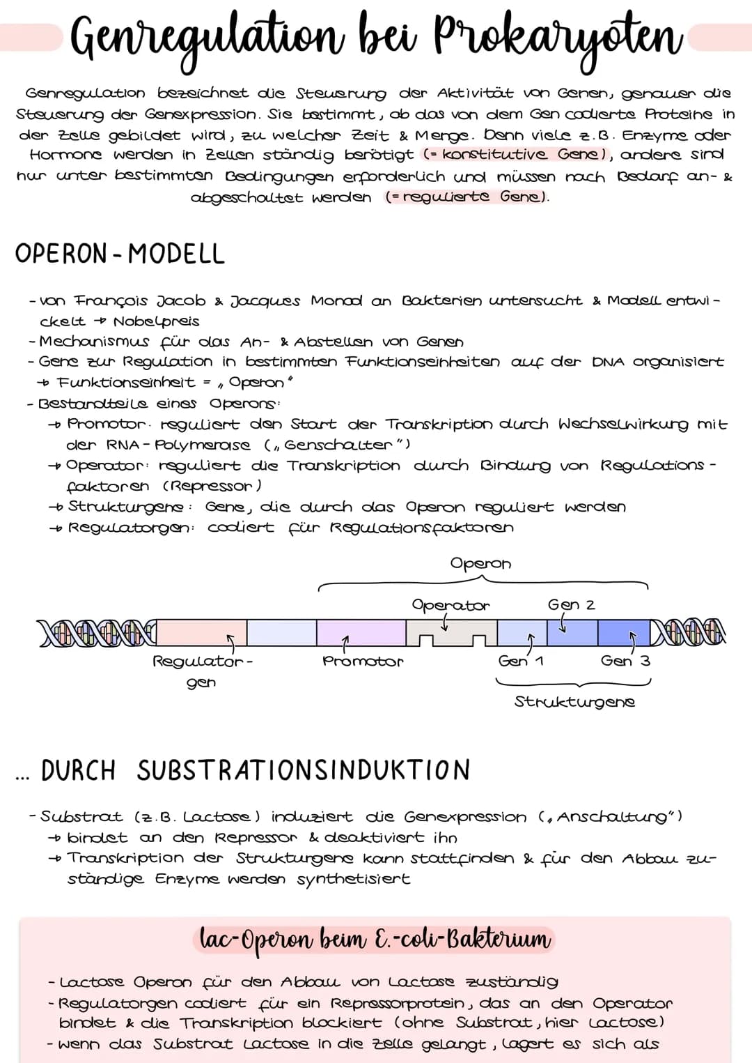 # Genregulation bei Prokaryoten

Genregulation bezeichnet die Steuerung der Aktivität von Genen, genauer die
Steuerung der Genexpression. Si