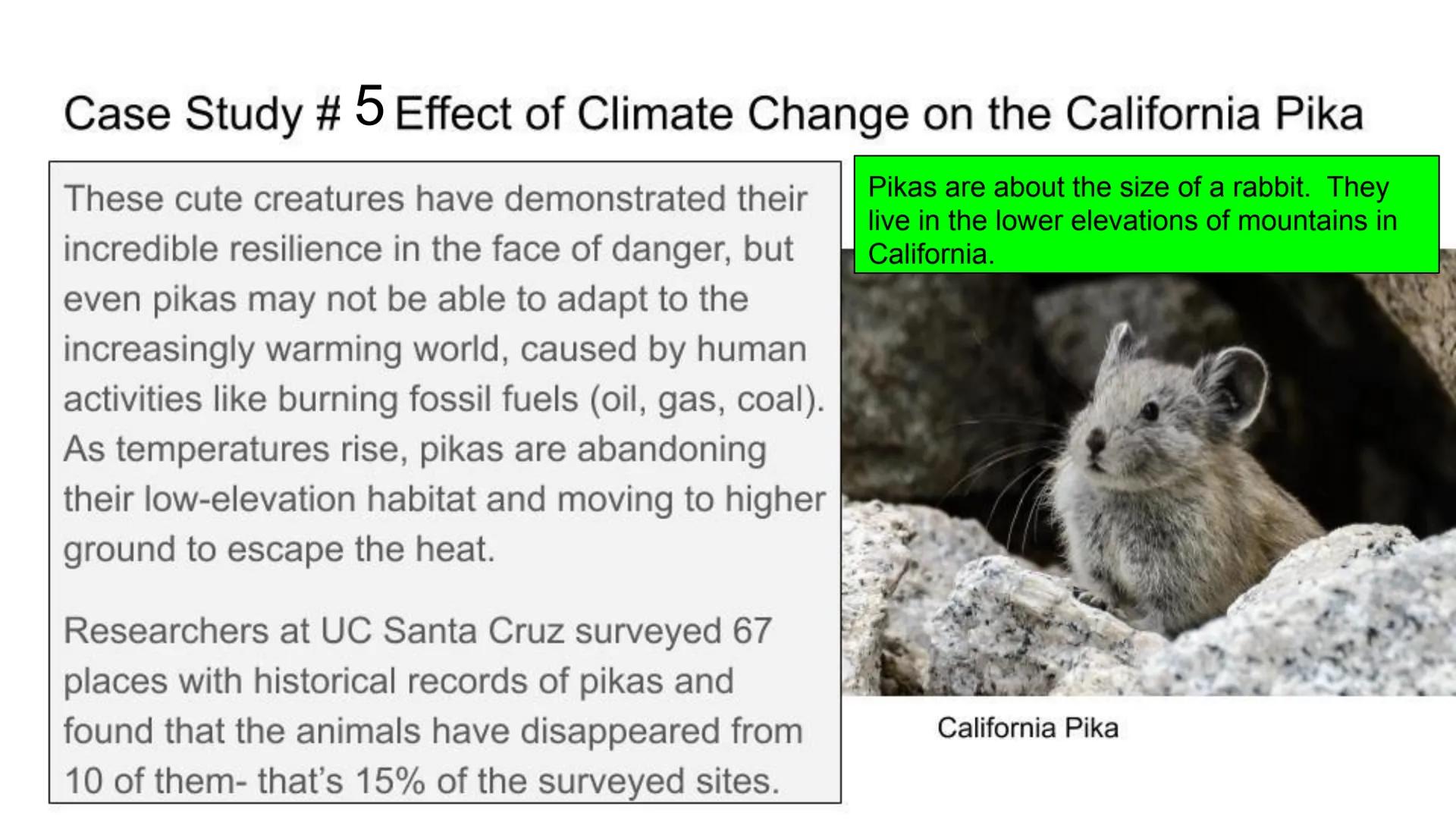 Human Impact on the
Earth:
Effects of Environmental
Change on Biodiversity

From Stanford NGSS Integrated Curriculum 2018 Case Study #1: Eff