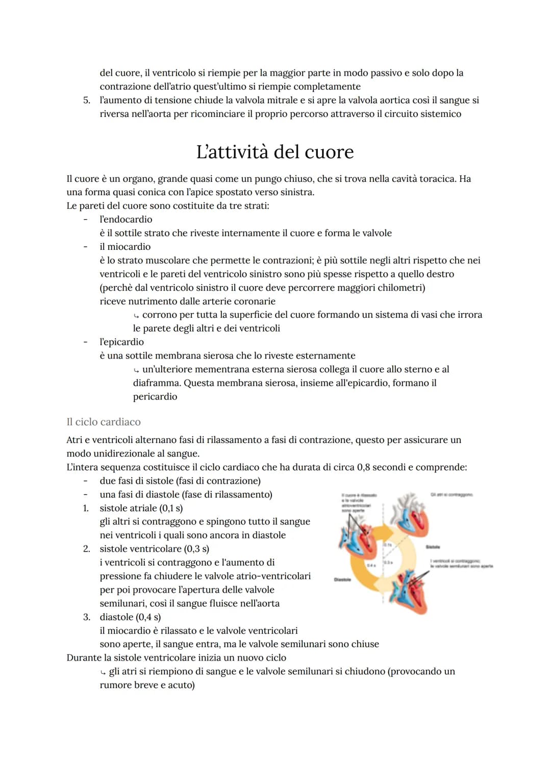 # L'apparato cardiovascolare

L'apparato cardiovascolare trasporta nel sangue tutti i materiali da e verso tutte le regioni
corporee per ass