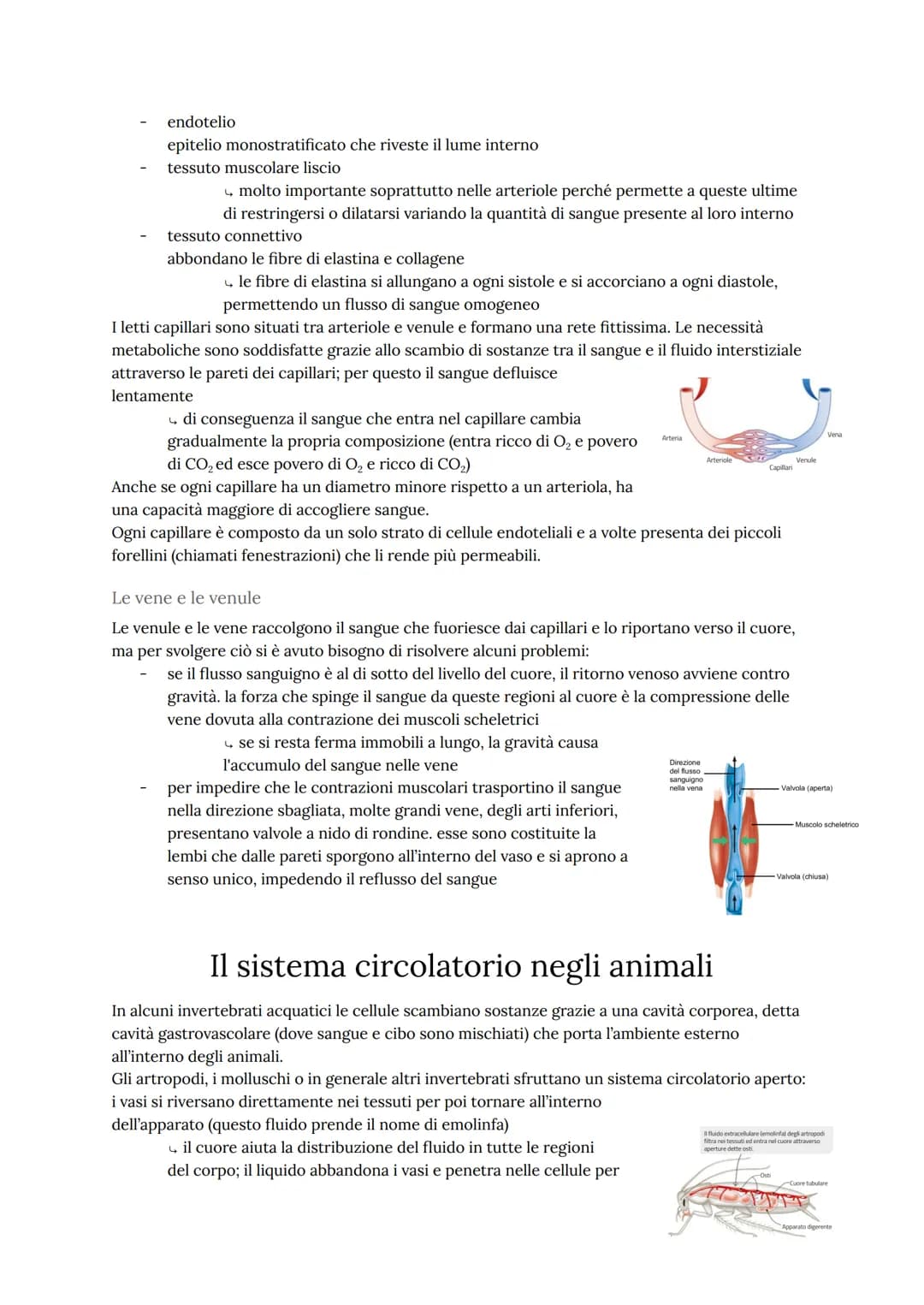 # L'apparato cardiovascolare

L'apparato cardiovascolare trasporta nel sangue tutti i materiali da e verso tutte le regioni
corporee per ass