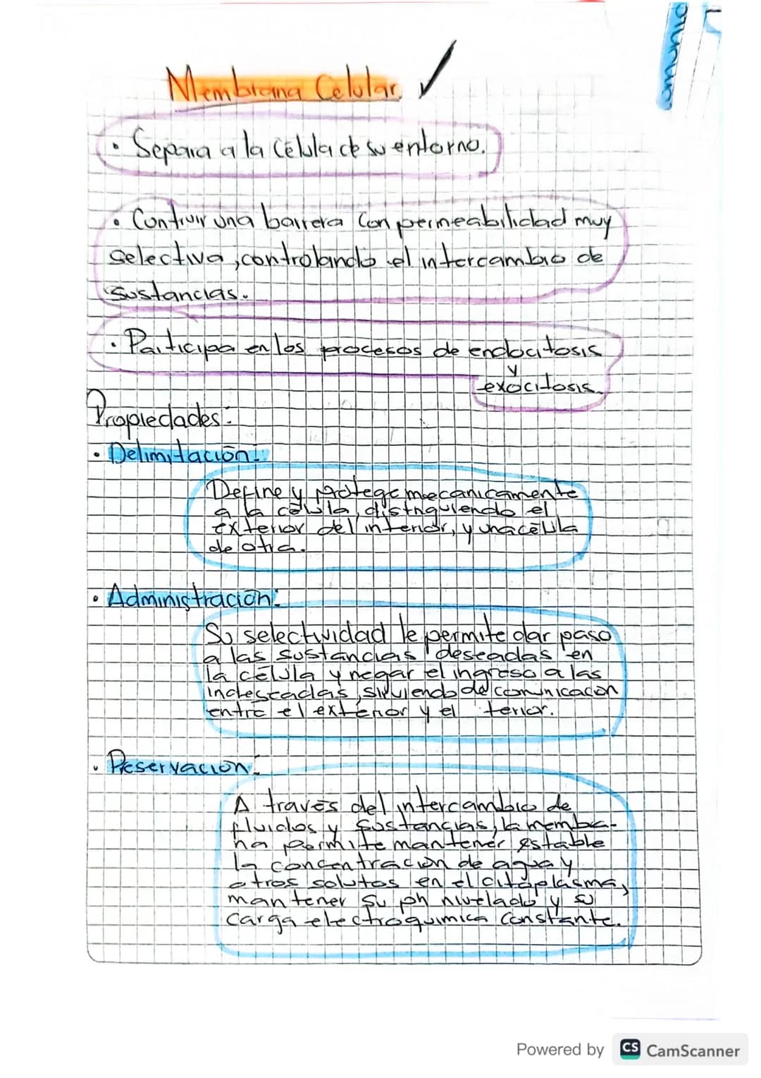 # Membrama Celular,

•Separa a la célula de su entorno.

• Contruir una barrera Con permeabilidad muy
Selectiva, controlando el intercambio 
