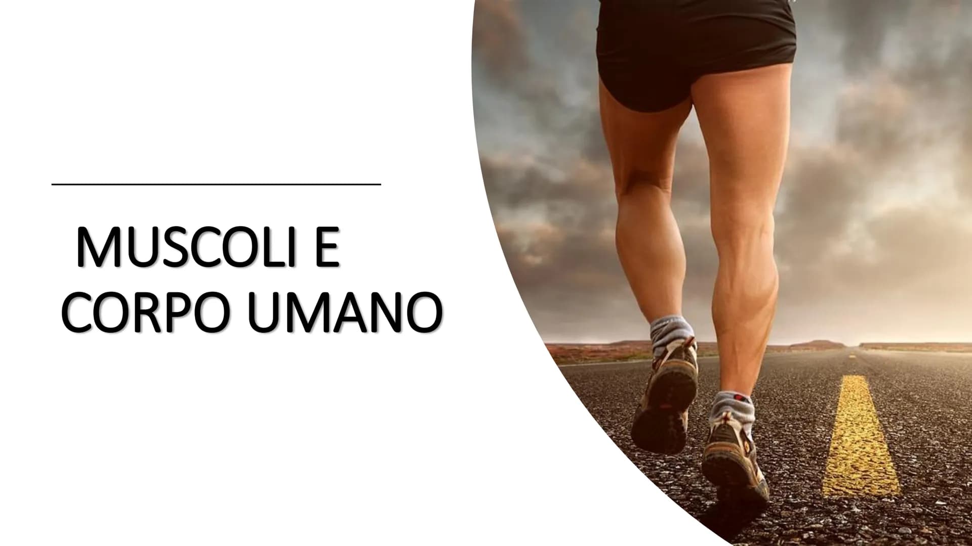 MUSCOLI E
CORPO UMANO I MUSCOLI sono degli
organi presenti in GRAN
NUMERO nel nostro
corpo, ci permettono di
COMPIERE I MOVIMENTI. # TIPI DI