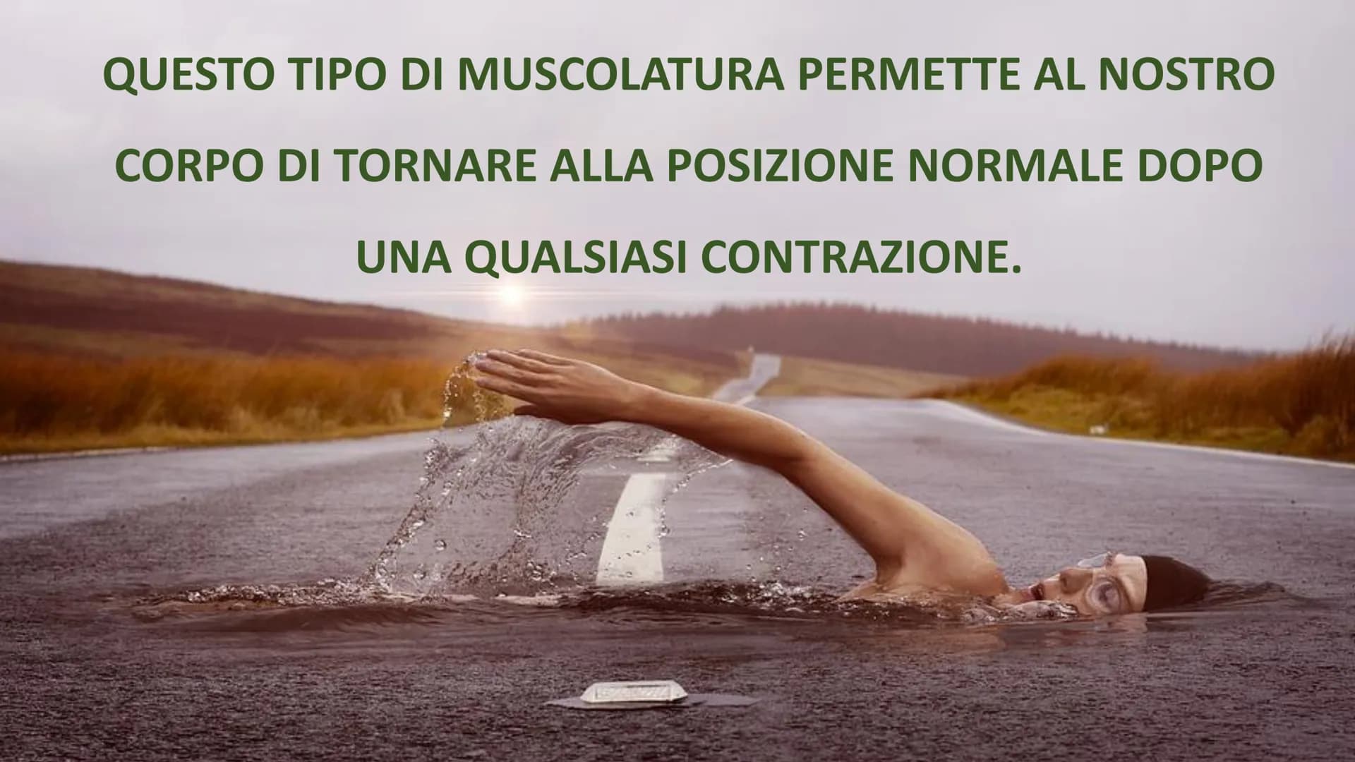 MUSCOLI E
CORPO UMANO I MUSCOLI sono degli
organi presenti in GRAN
NUMERO nel nostro
corpo, ci permettono di
COMPIERE I MOVIMENTI. # TIPI DI