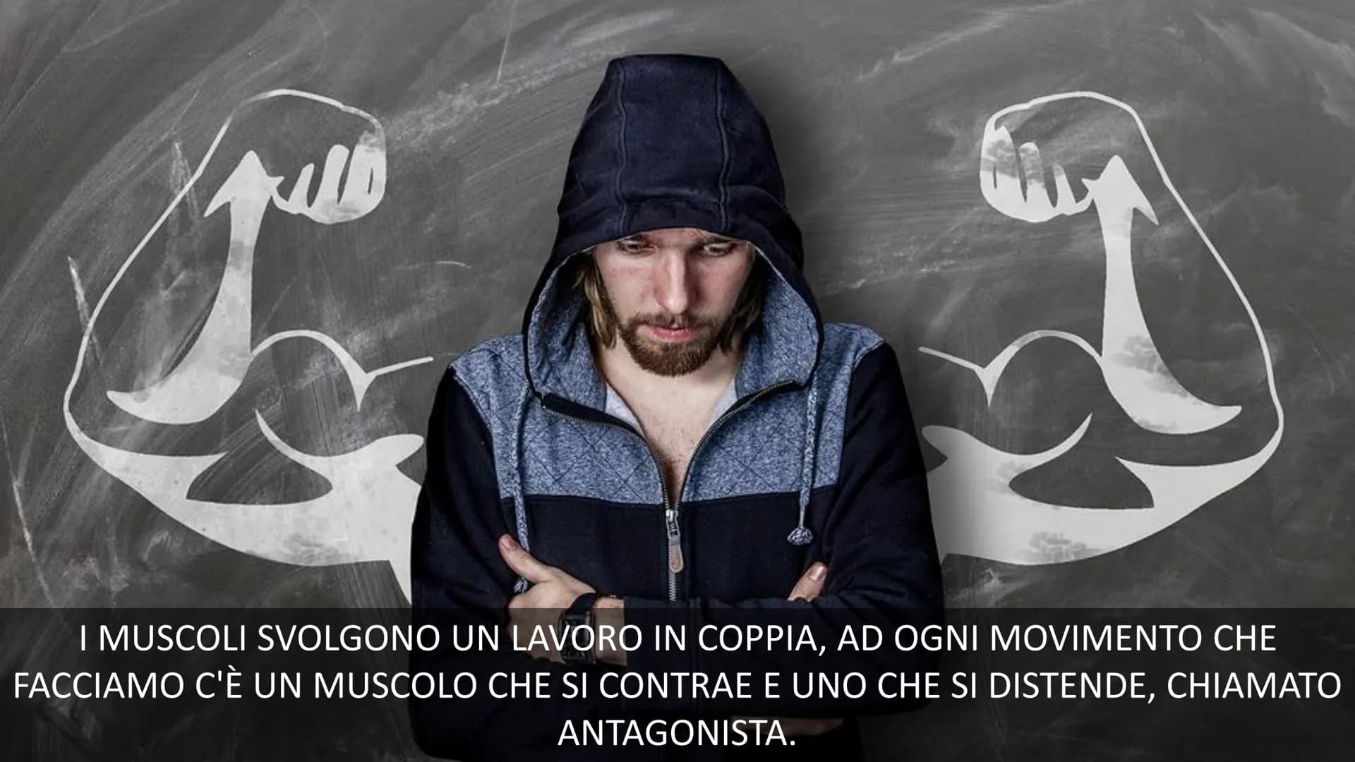 MUSCOLI E
CORPO UMANO I MUSCOLI sono degli
organi presenti in GRAN
NUMERO nel nostro
corpo, ci permettono di
COMPIERE I MOVIMENTI. # TIPI DI