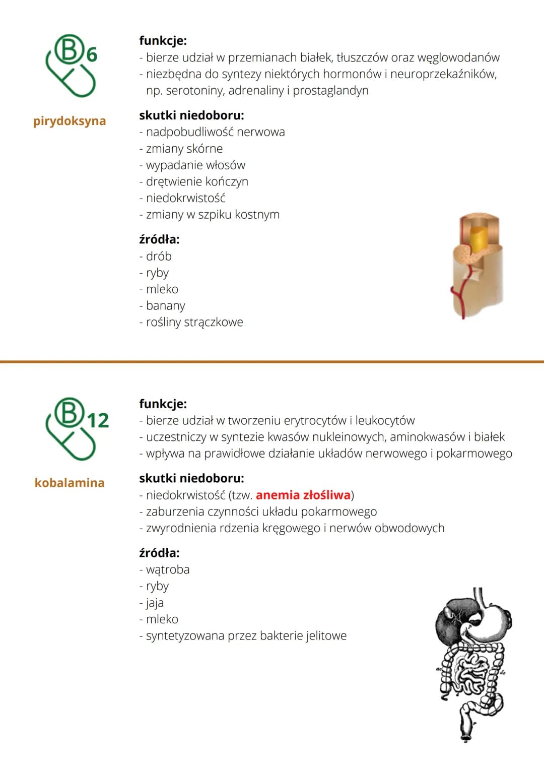 
<h2>Witaminy i sole mineralne:</h2>
<ul>
<li>To są składniki pokarmowe, które są niezbędne do prawidłowego funkcjonowania organizmu. Zapotr