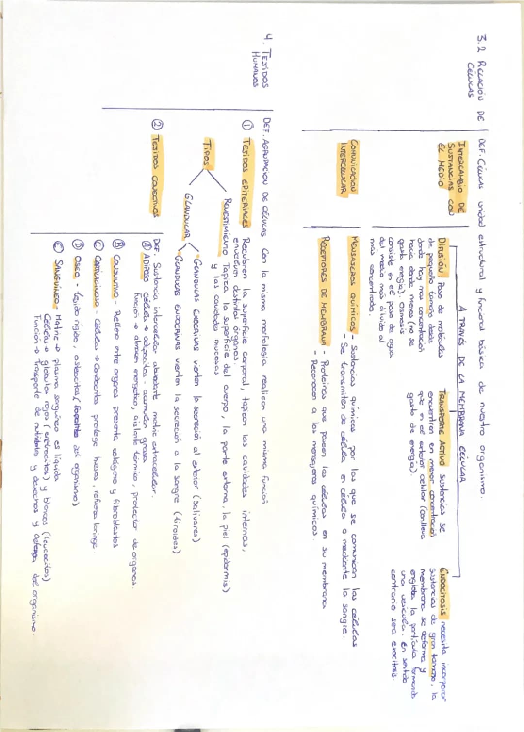 # 1. NIVECES DE ORGANIZACIÓN DE LA MATERIA VIVA

protones
NIVEL SUBATÓMICO neutrones
electrones

NIVEL ATÓMICO - BioELEMENTOS (elenerlos quí