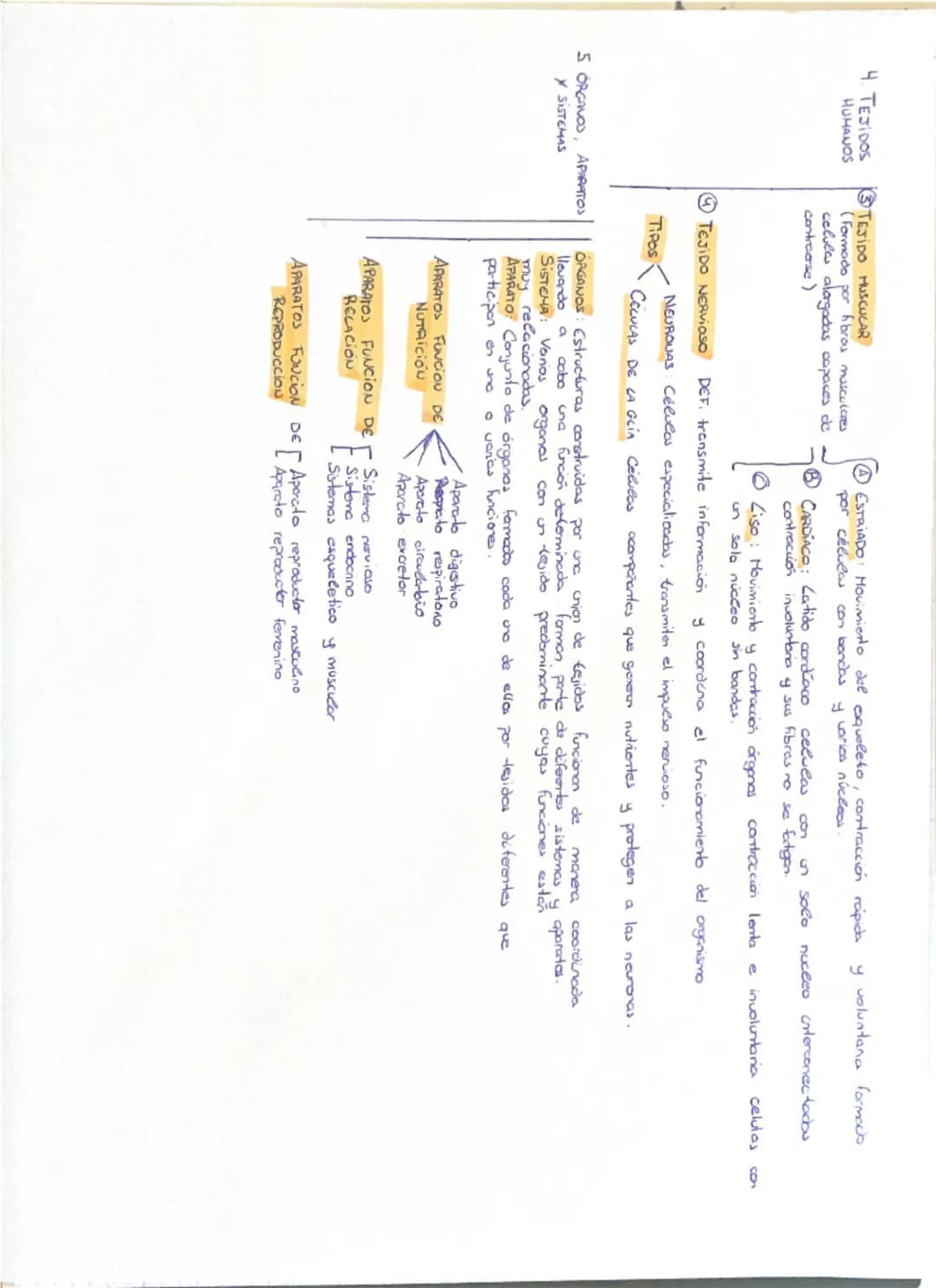 # 1. NIVECES DE ORGANIZACIÓN DE LA MATERIA VIVA

protones
NIVEL SUBATÓMICO neutrones
electrones

NIVEL ATÓMICO - BioELEMENTOS (elenerlos quí