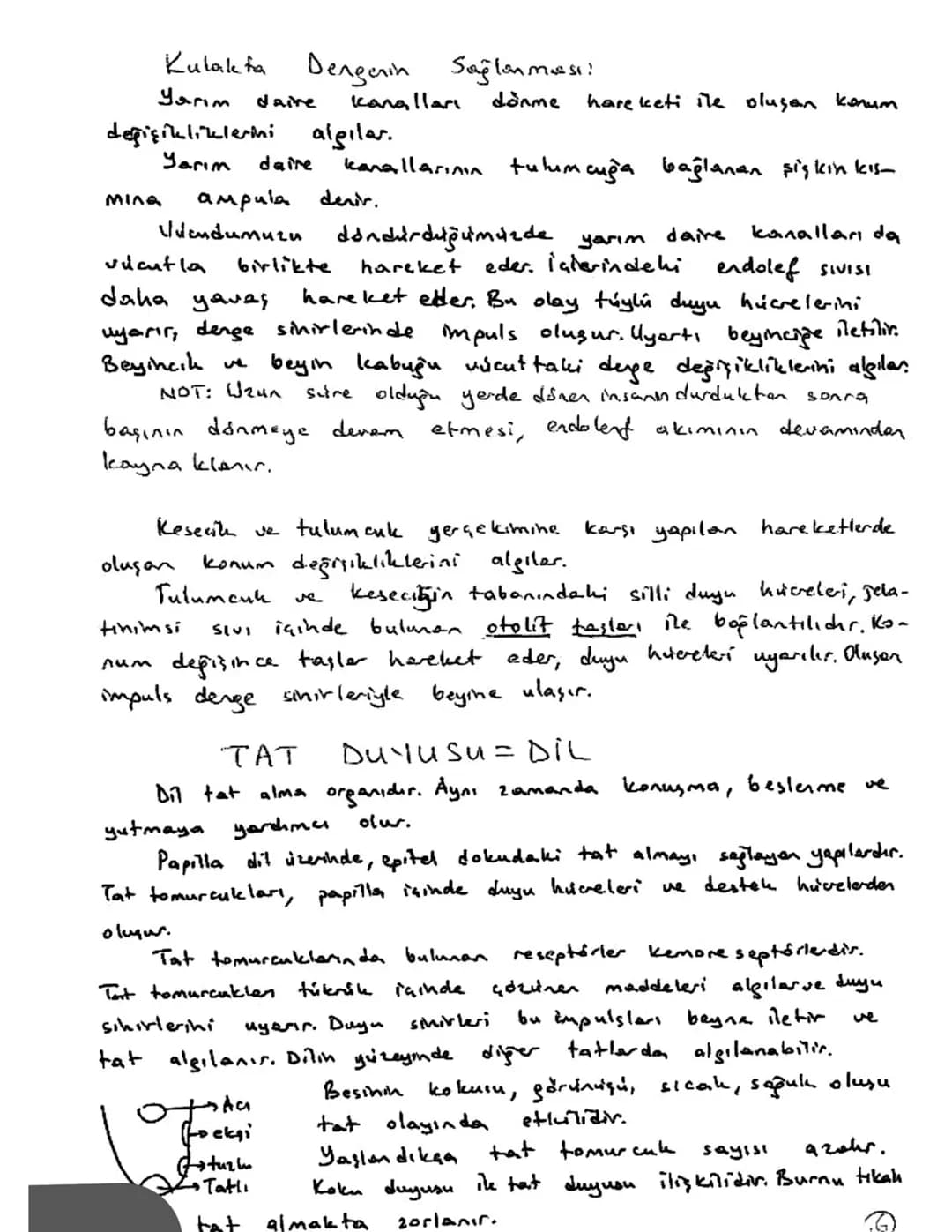 # DUYU ORGANLARI

Duyu organları çevredeki nyatıları özelleşmiş epitel huereleri veya
sihir uçları ile alır. 4 farkh rexxptör çeşidi verdır.