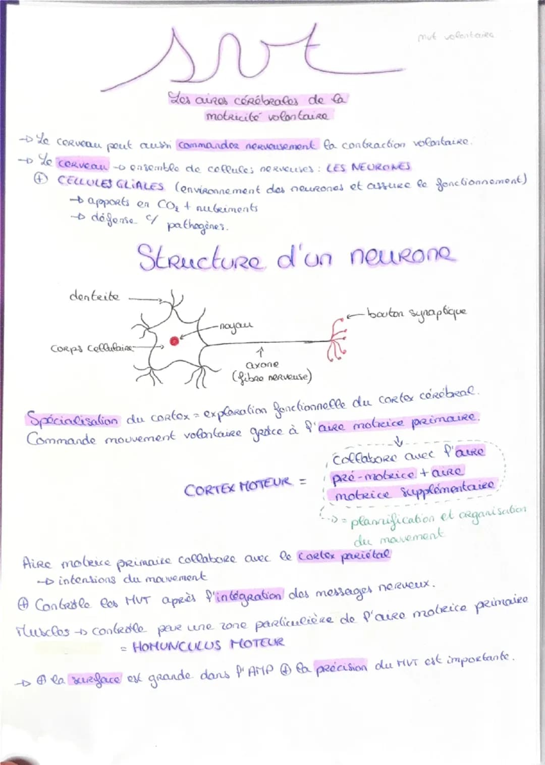 Haploide
(n)

a a qu'une qu seule fois
chaque type de
Chromosomes dans
Son noyau (pas
d'homologue)

VS

Diploide
(2n)

Lo fusion do 2 & hapl
