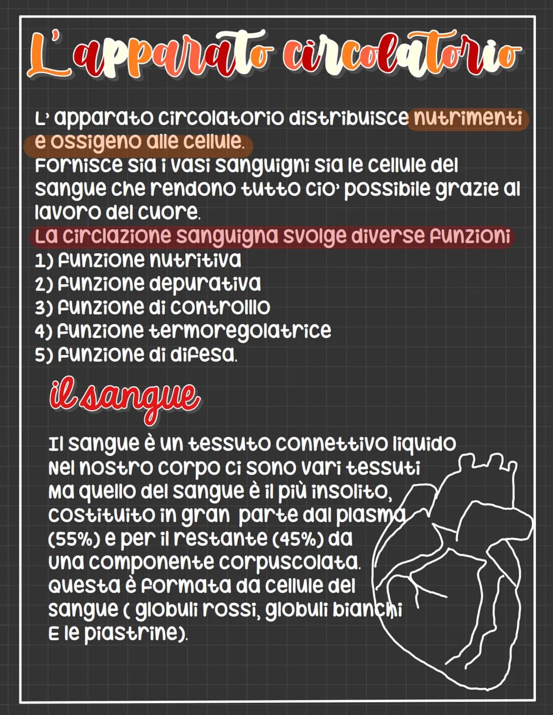 # L'apparato circolatorio

L' apparato circolatorio distribuisce nutrimenti
e ossigeno alle cellule.
Fornisce sia i vasi sanguigni sia le ce