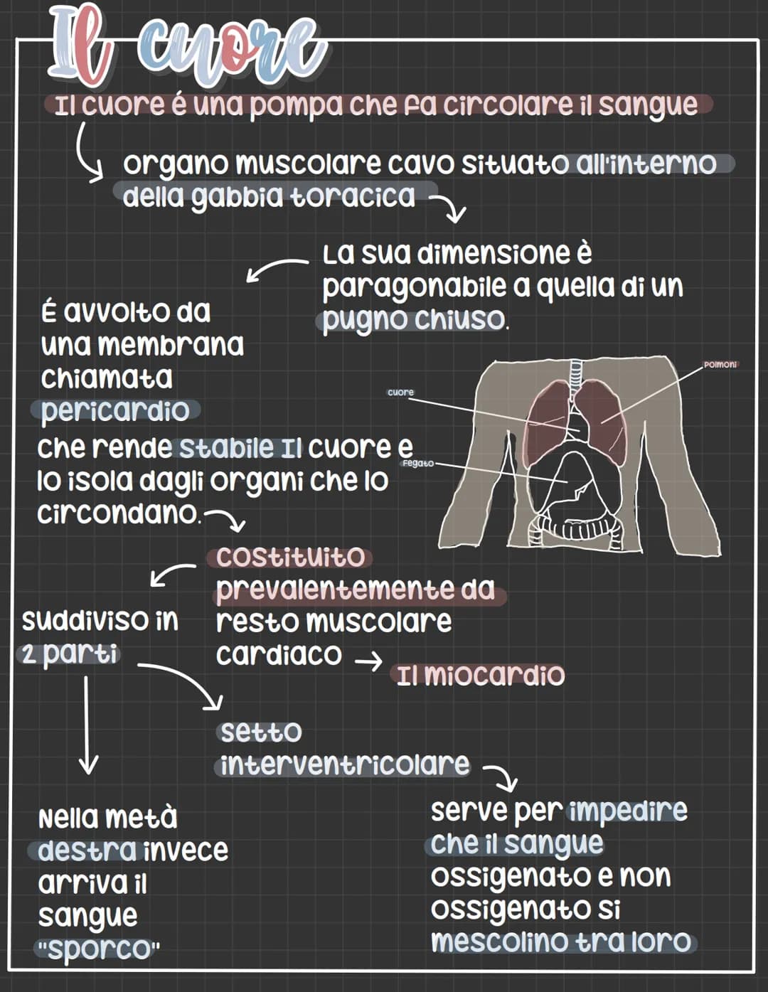 # L'apparato circolatorio

L' apparato circolatorio distribuisce nutrimenti
e ossigeno alle cellule.
Fornisce sia i vasi sanguigni sia le ce