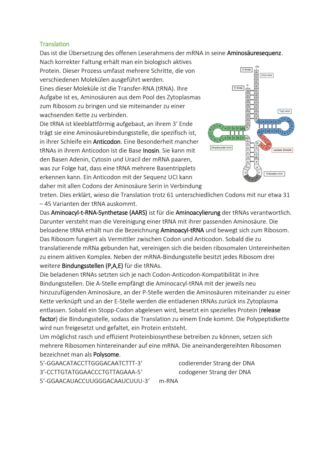Molekulargenetik

10. DNA-Aufbau - Replikation - Reparatur

Aufbau

Desoxyribonukle
insäure

Repliktion

Doppelhelix Chargaff-Regel Leistran