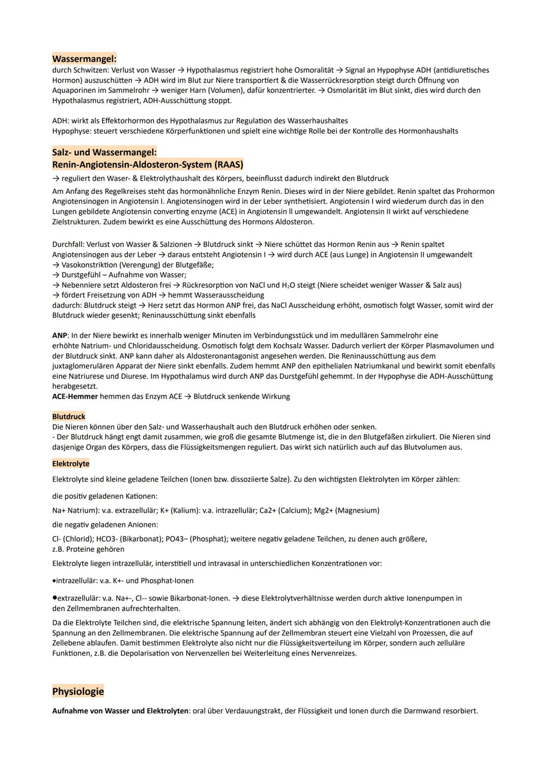 GP Lernzettel Ausscheidung / Nervensystem

Bau:
- Bau und Funktionen der Niere

Bowman
Kapsel
arteria radialis
(cortex)
proximaler Tubulus
G