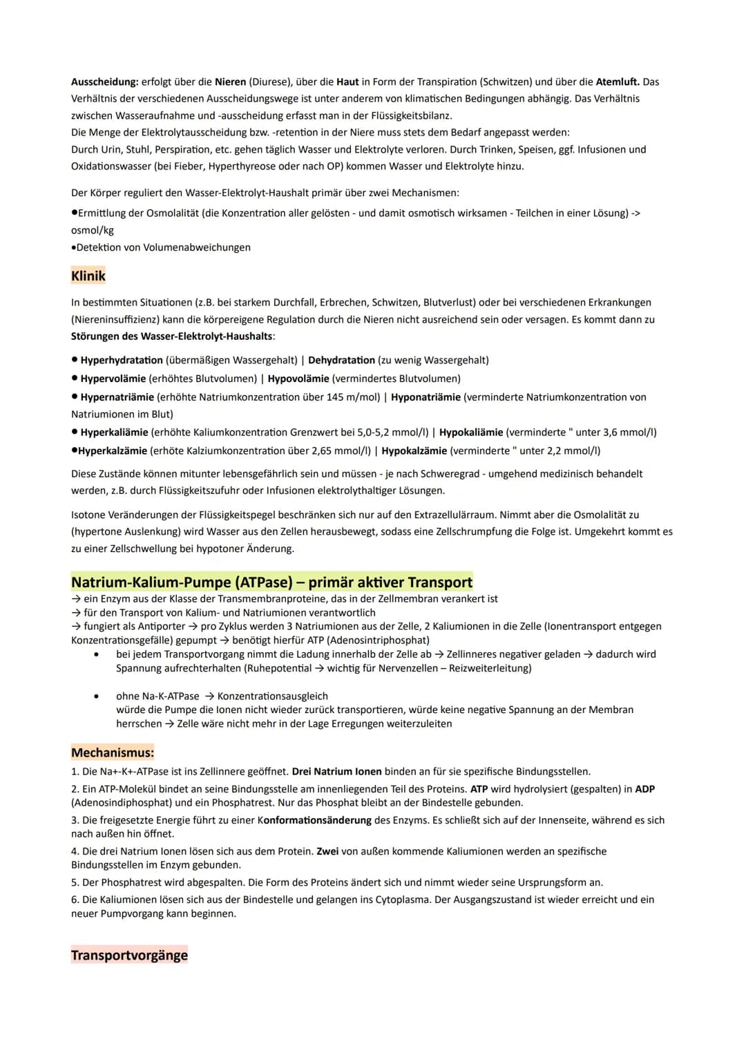 GP Lernzettel Ausscheidung / Nervensystem

Bau:
- Bau und Funktionen der Niere

Bowman
Kapsel
arteria radialis
(cortex)
proximaler Tubulus
G