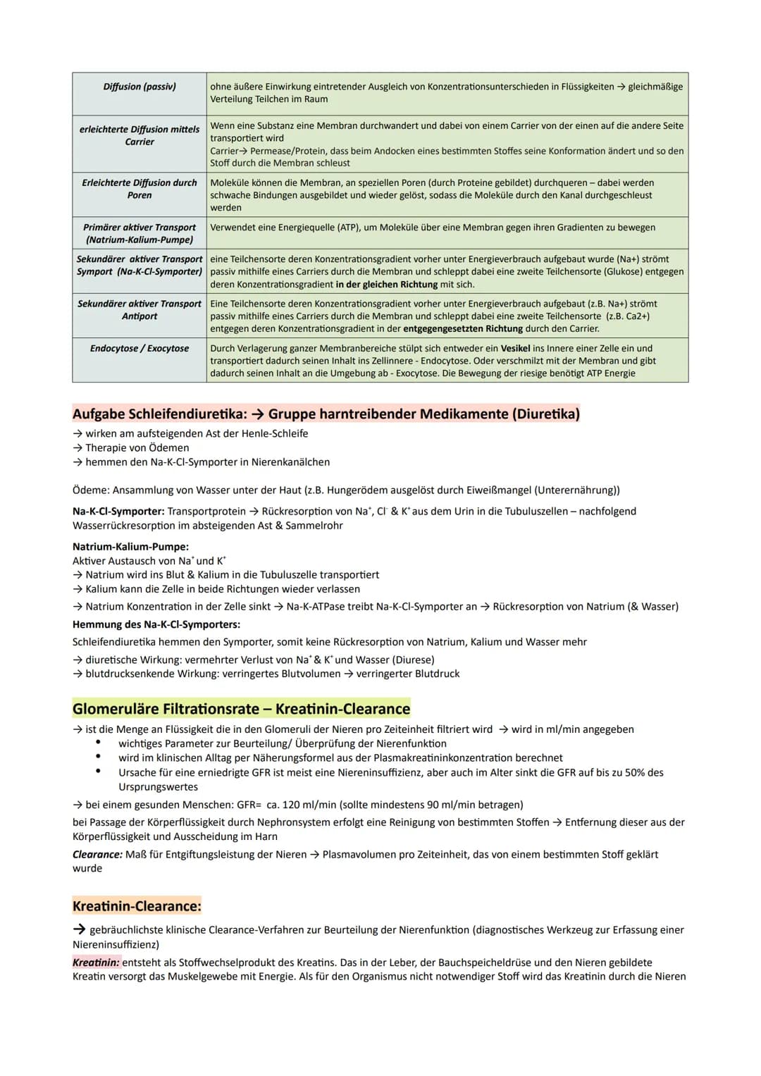GP Lernzettel Ausscheidung / Nervensystem

Bau:
- Bau und Funktionen der Niere

Bowman
Kapsel
arteria radialis
(cortex)
proximaler Tubulus
G