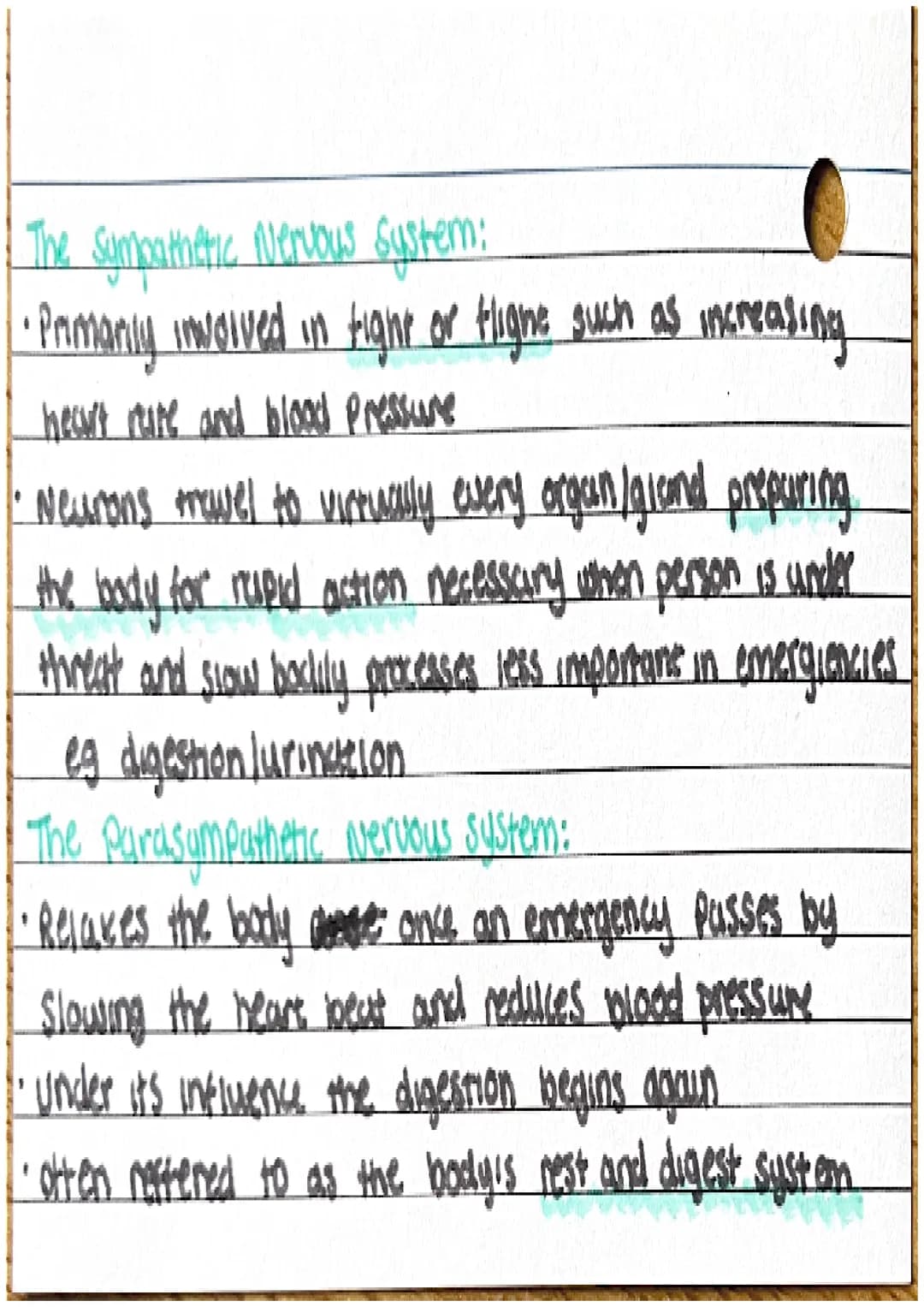 # Biopsychology "Nervous system

Cencral nervous syseem:

*   comprised of the brown and spinal cored
*   function : control of behaviour an