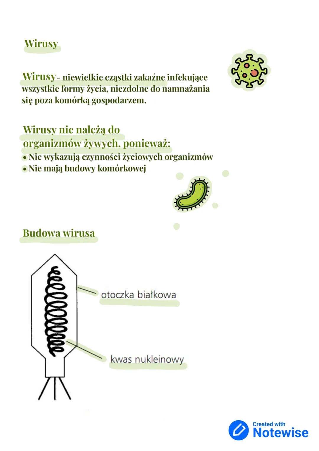 # Wirusy, bakterie, protisty i grzyby

dział III - klasa 5

Królestwa
organizmów:
- Bakterie
- Zwierzęta
- Grzyby
- Rośliny
- Protisty

Gatu