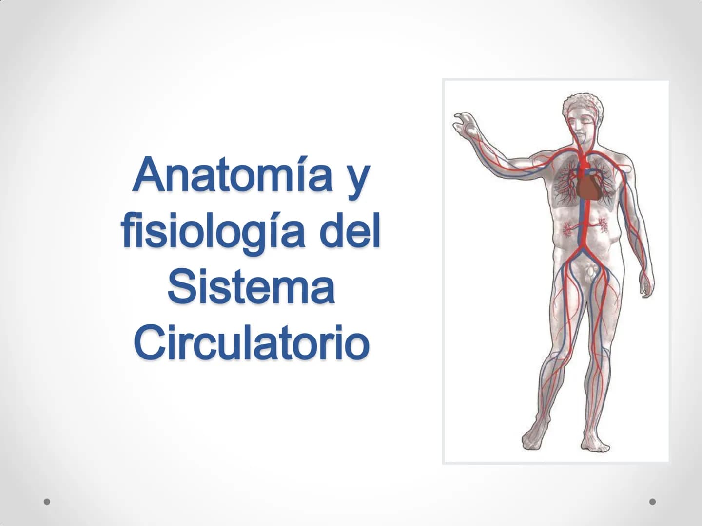# Anatomía y
fisiología del
Sistema
Circulatorio # El aparato circulatorio

*   Se encarga del transporte de sustancias
por todo el organism