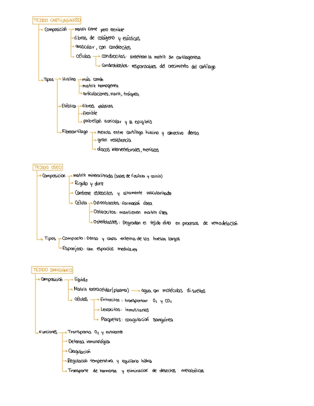 # HISTOLOGIA

## NIVELES DE ORGANIZACIÓN
Átomos - Molécula - Macromolécula - Orgánulo celular - Célula - Tejido - Órgano - Sistema - Organis