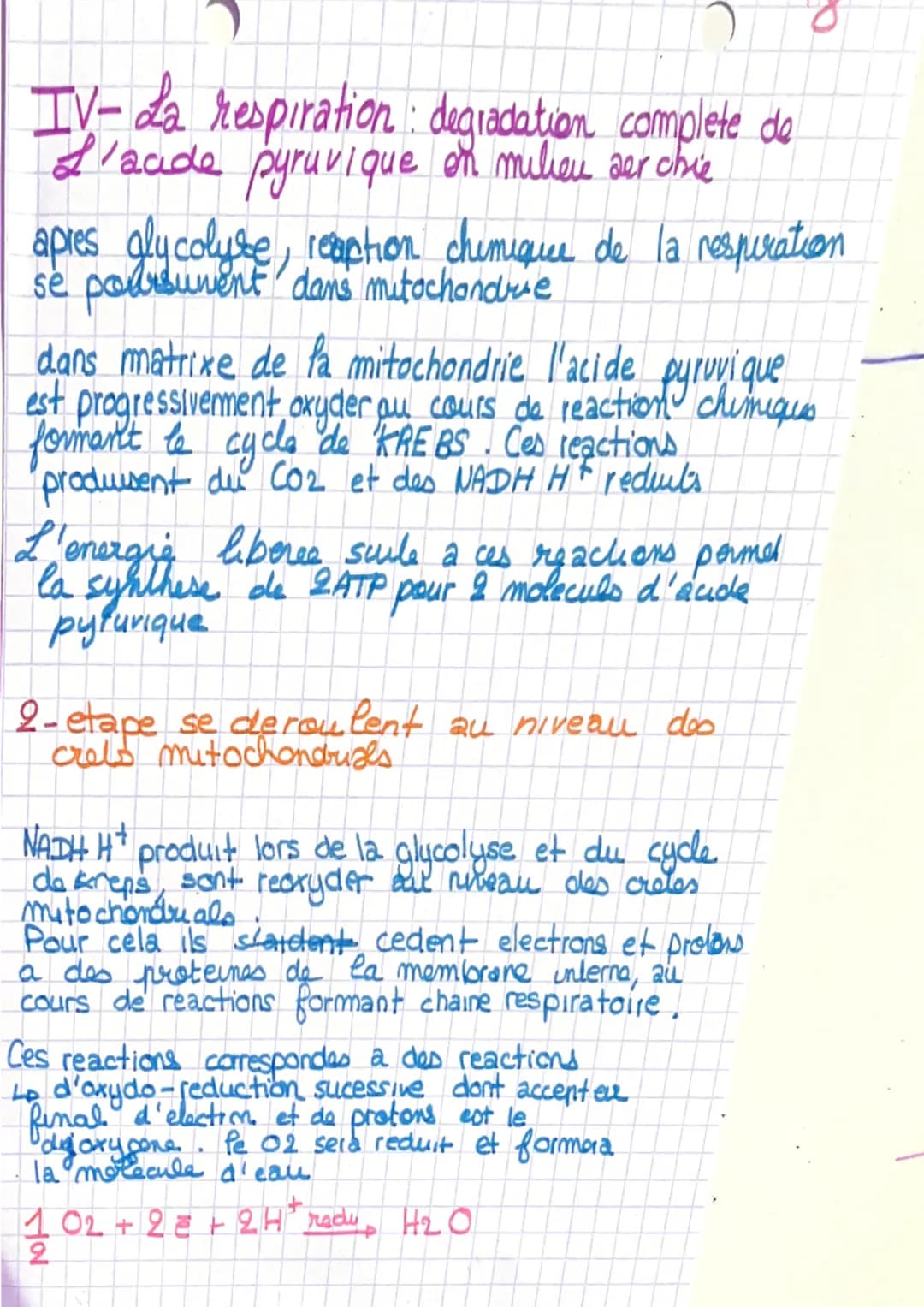 # Chapitre 1

I- L'organisation generale d'un muscle
muscle-organe constitué de cellules regroupé
en faisceausc

Sceuse la sont entouré d'1 