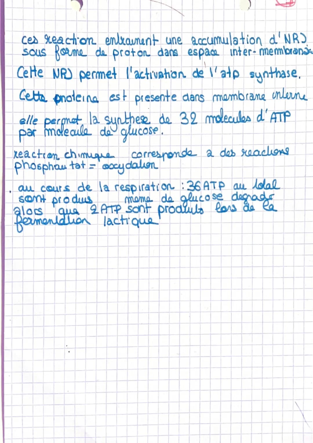 # Chapitre 1

I- L'organisation generale d'un muscle
muscle-organe constitué de cellules regroupé
en faisceausc

Sceuse la sont entouré d'1 