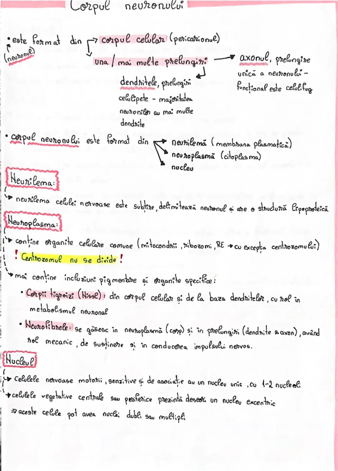 # Fiziologia neuronului

• Neuronul reprezintă unitatea morfo-functională a sistemului nervos

•Forma neuronilor este variabilă:

→stelata c
