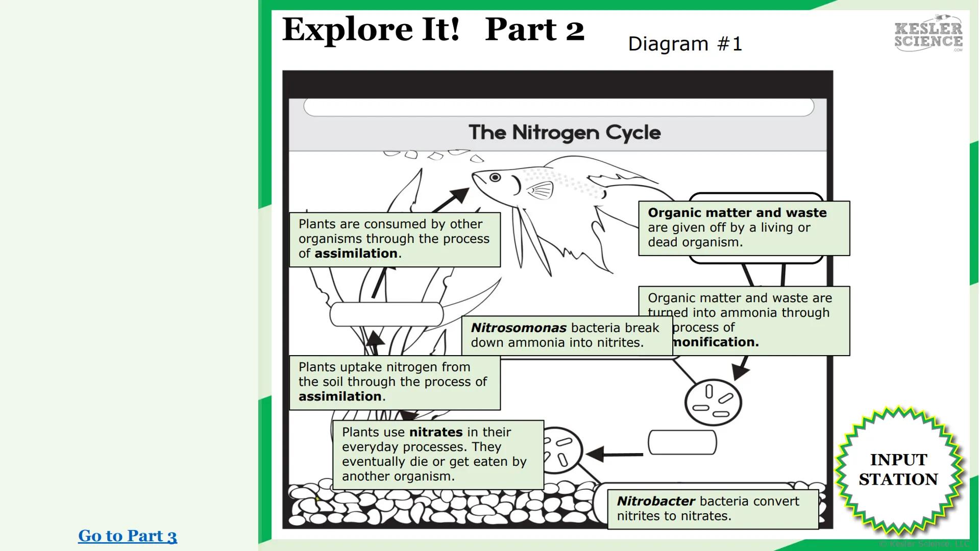 KESLER
SCIENCE

The Lab Room
Nitrogen
Cycle

Challenge It!

Watch It!
Read It!

Write It!
Assess It!

Research It!
Explore It!

Organize It!