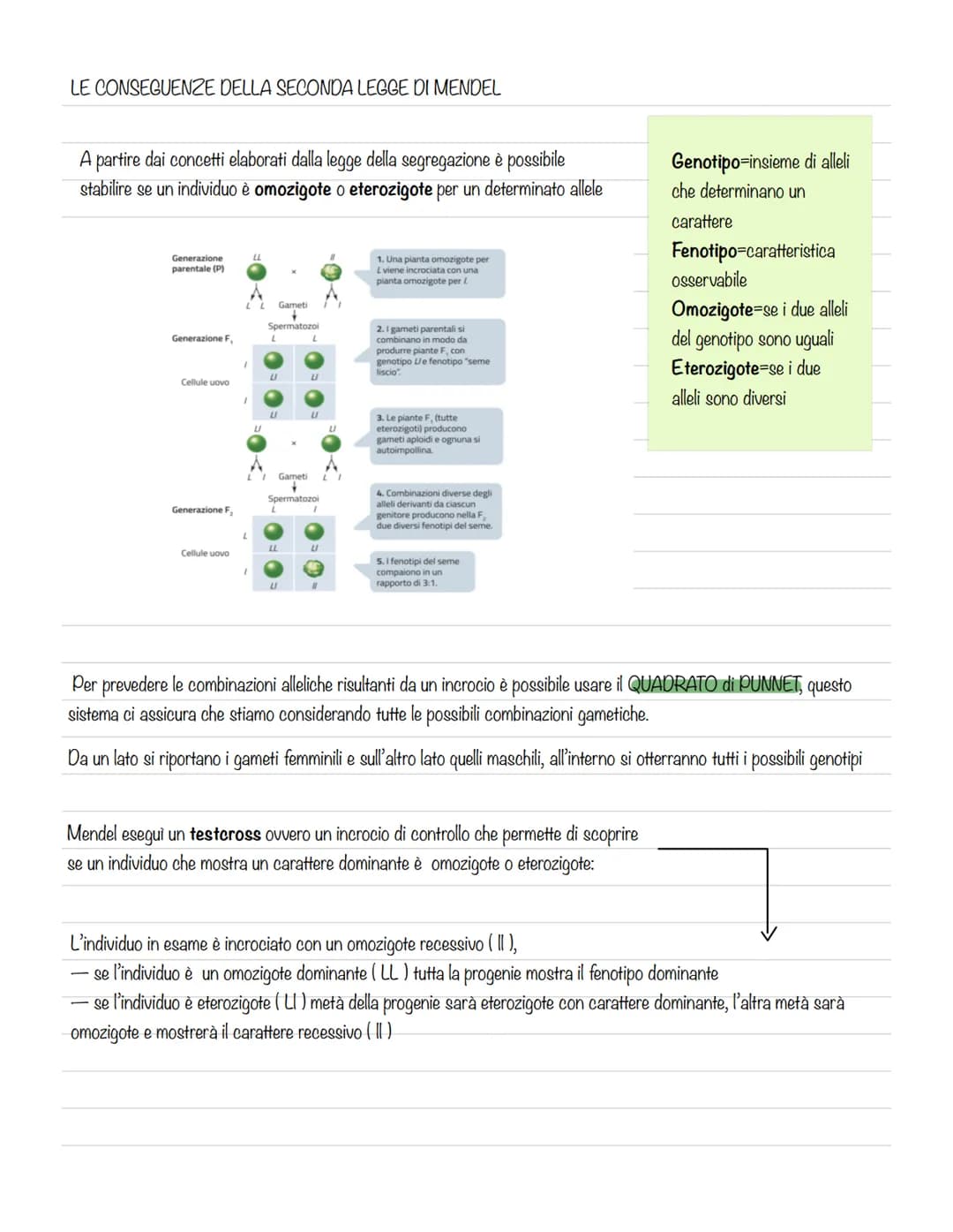 # GREGOR MENDEL E LA GENETICA

La genetica è lo studio delle leggi e dei
meccanismi che permettono la trasmissione
dei caratteri da una gene