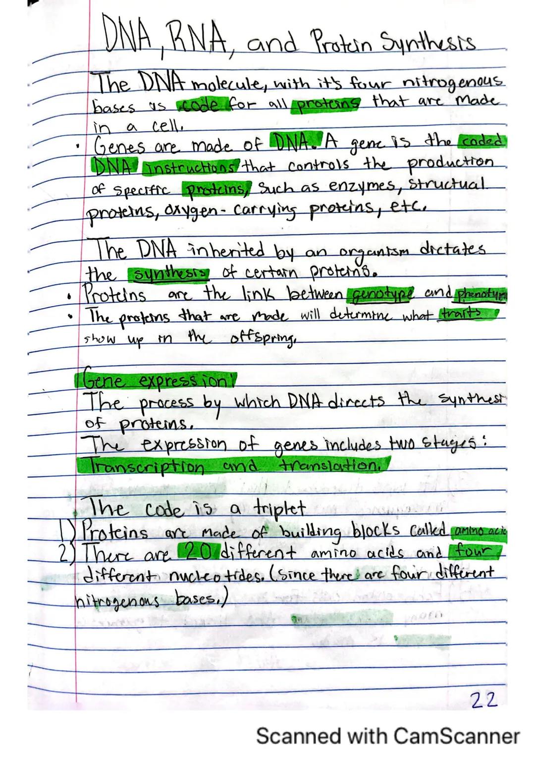# DNA, RNA, and Protein Synthesis.
The DNA molecule, with it's four nitrogenous
bases us code for all proteins that are made
in a cell.
- Ge
