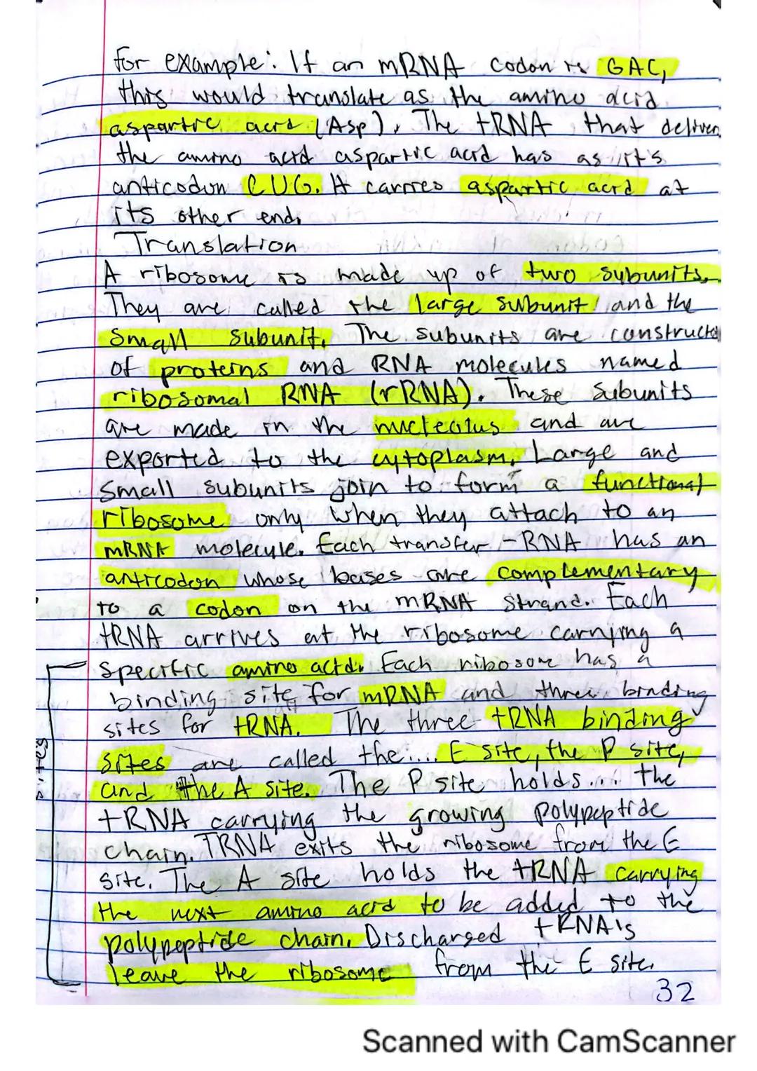 # DNA, RNA, and Protein Synthesis.
The DNA molecule, with it's four nitrogenous
bases us code for all proteins that are made
in a cell.
- Ge