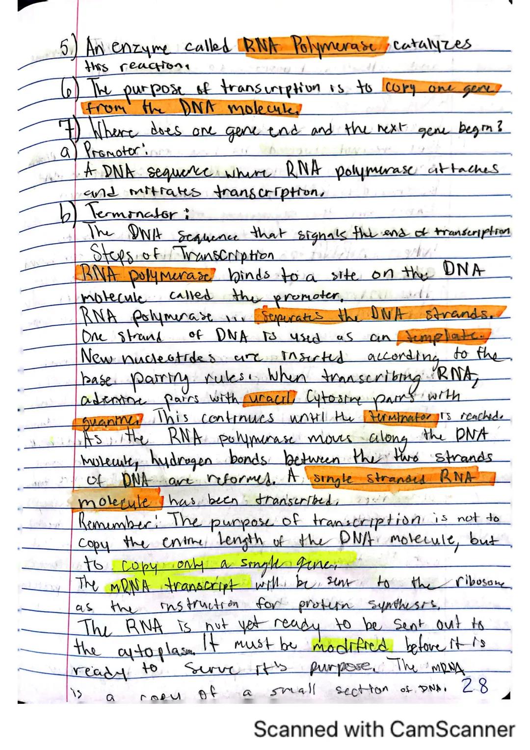 # DNA, RNA, and Protein Synthesis.
The DNA molecule, with it's four nitrogenous
bases us code for all proteins that are made
in a cell.
- Ge