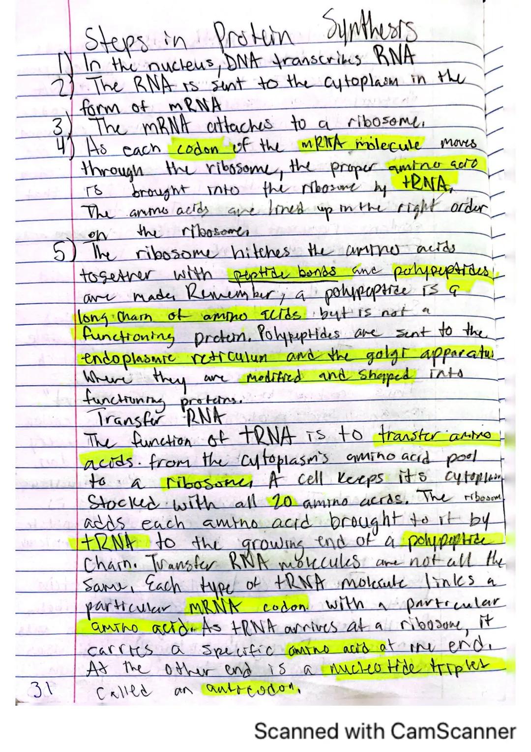 # DNA, RNA, and Protein Synthesis.
The DNA molecule, with it's four nitrogenous
bases us code for all proteins that are made
in a cell.
- Ge