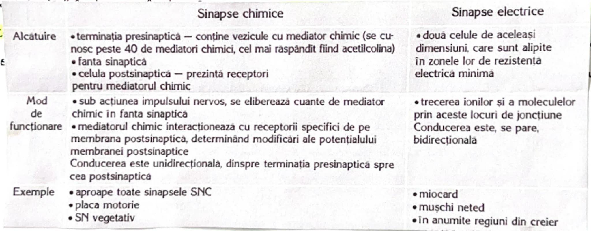 # Sinapsa

= este conexiunea funcțională între un neuron si o altă celula

*   În SNC a dova celulă este tot un neuron
*   în SNP ea poate f